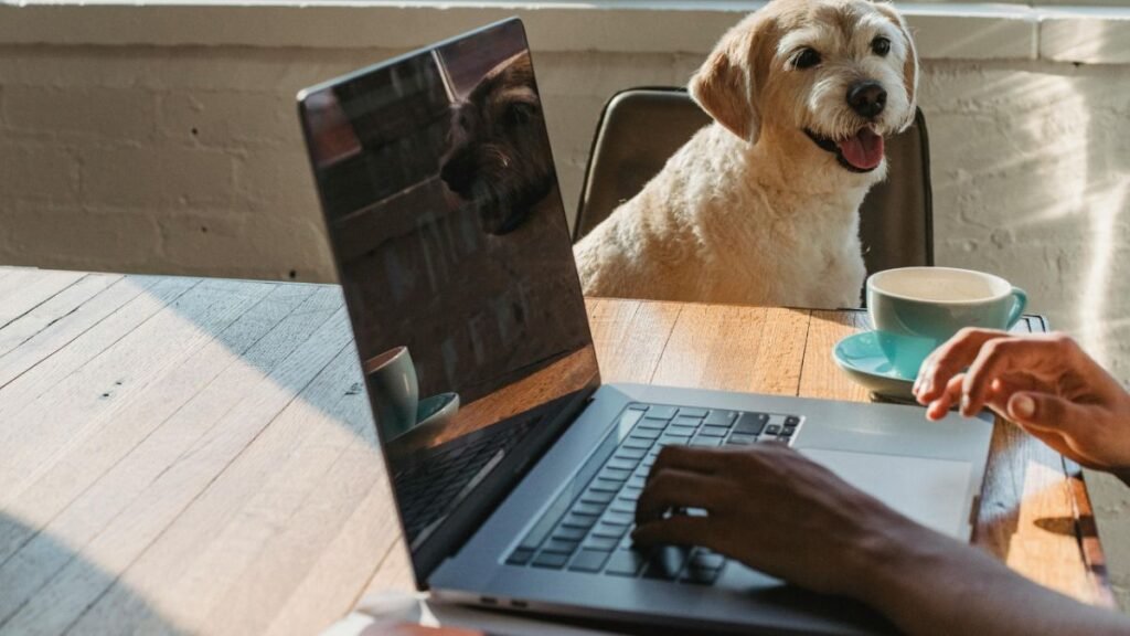 Ter um Animal de Estimação Pode Prolongar a Vida